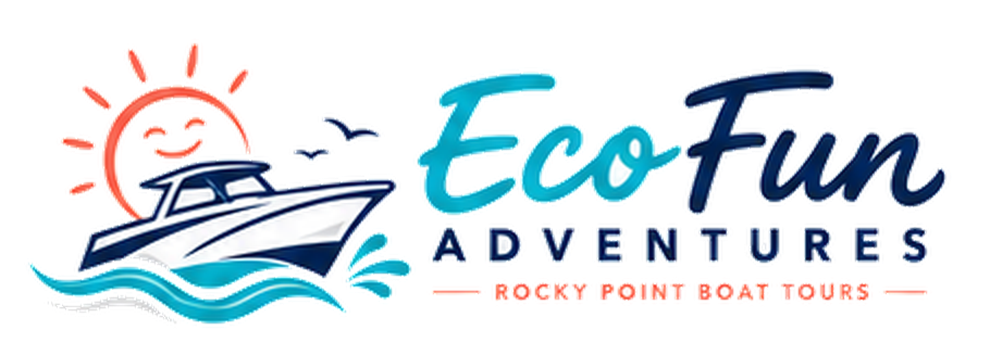 EcoFun Adventures — Rocky Point Boat Tours