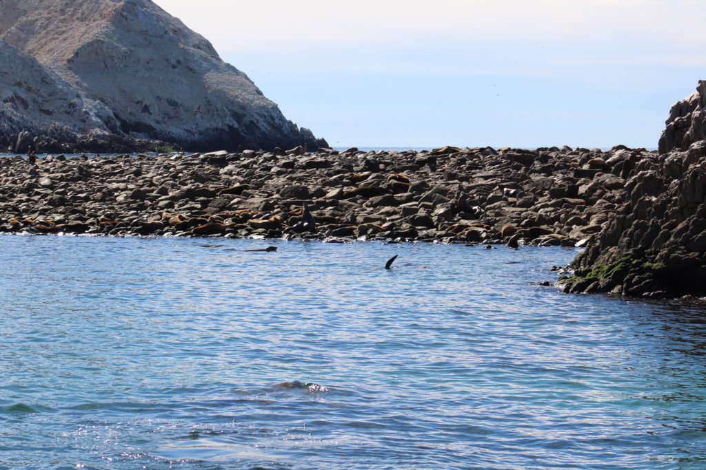 Turquoise waters near the island